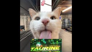 Taurine stream 2 32 NEW HARDEST [upl. by Eisac]