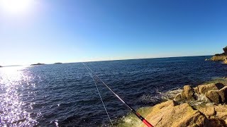 Lure fishing for Mackerel and Pollock in north wales  Llyn peninsula [upl. by Laverna]