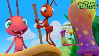 Mystery Mix  🐛 Antiks 🐜  Funny Cartoons for Kids  Moonbug [upl. by Aelgna502]