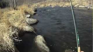 Steamboat Springs Colorado  Yampa River Tailwater Fly Fishing with Charlie Dresen [upl. by Anstus]