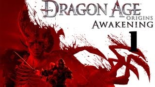 Dragon Age Origins  Awakening Walkthrough Part 1 [upl. by Neyut]