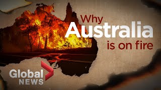 Bushfires in Australia What ignited the deadly crisis [upl. by Tatianas679]