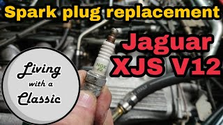 Jaguar XJS V12 Spark Plug Replacement  Step by step tutorial [upl. by Drye]