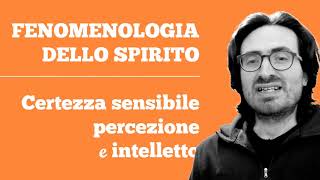 Hegel  05  Fenomenologia dello spirito la coscienza [upl. by Ahsinam]