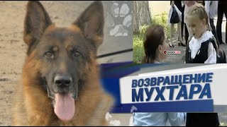 Возвращение Мухтара 4 сезон 30 серия [upl. by Anaujahs]