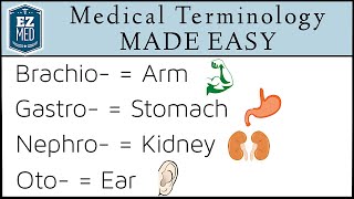 Medical Terminology MADE EASY Root Words Nursing Students Coding [upl. by Pasadis]