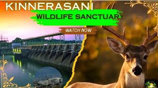 kinnerasaniwildlife sanctuary [upl. by Haidebez363]