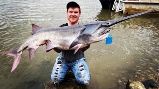 How To Fish The Neosho River Spoonbill Paddle Fishing In Oklahoma [upl. by Martguerita607]