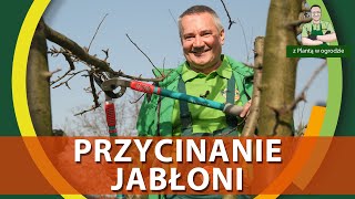 Jak przycinać jabłonie  Z PLANTĄ W OGRODZIE [upl. by Noraj]