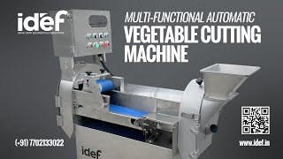 MultiFunctional Vegetable Cutting Machine Vegetable Cutter IDEF [upl. by Dabbs]