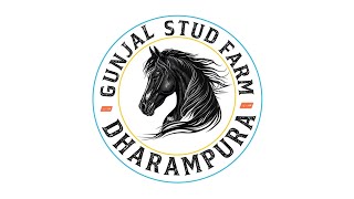 Gunjal Stud Farm Dharampura [upl. by Eyla]