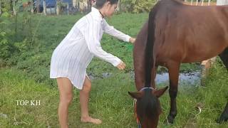 Horses feed grass while driving and riding 16 [upl. by Attenahs]