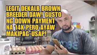 LEGIT DEKALB BROWN BREEDER DAW GUSTO NG DOWN PAYMENT NA 14K PERO AYAW MAKIPAGUSAP [upl. by Emmott]