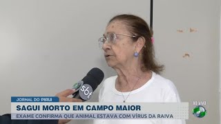 Animais com vírus da raiva infectologista explica medidas para evitar doença [upl. by Eilliw636]