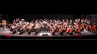 LVYO Youth Philharmonic 2014 quotKarelia Overturequot Jean Sibelius [upl. by Alten]