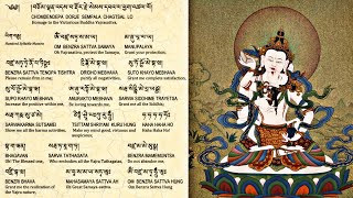 ☸The Hundred Syllables Vajrasattva Mantraརྡོ་རྗེ་སེམས་དཔའ།Dorje Sempa MantraOm Vajrasattva Samaya [upl. by Yrennalf743]