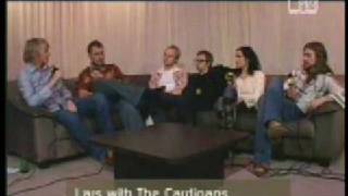 The Cardigans Fun facts and trivia [upl. by Conrade]