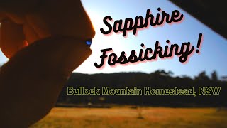 Bullock Mountain Homestead Sapphire Fossicking Travel Vlog Glen Innes NSW Australia [upl. by Madi]