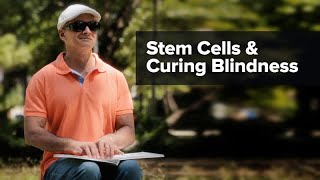 Stem Cells and Curing Blindness  Karl Wahlin [upl. by Rehpotsrhc]