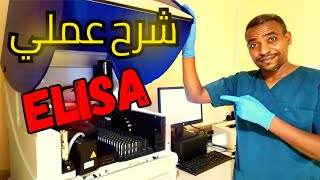 شرح عملي كامل لجهاز ELISA داينكس  Dynex D2S [upl. by Sirroned]