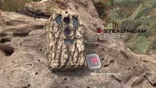 Stealth Cam  P18CMO  Quick Overview [upl. by Kussell65]