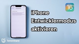 Wie kann man den iPhone Entwicklermodus aktivieren iOS 18 [upl. by Enelahs]