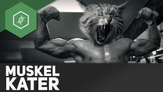 Muskelkater – Erklärung Ursache Tipps [upl. by Buckels]