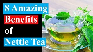 8 Amazing Benefits of Nettle Tea  Health Benefits of Nettle Tea [upl. by Ediva97]