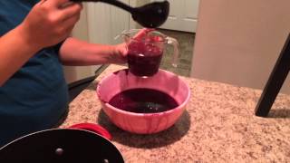 How to Make Chokecherry Jam [upl. by Athalla]