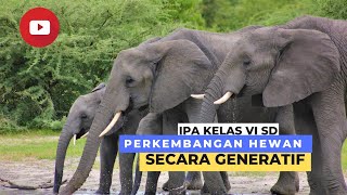 Perkembangbiakan Hewan Secara Generatif  IPA SD Kelas 6 Semester 1 [upl. by Ahsiugal]