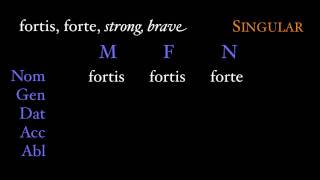 Third Declension Adjectives [upl. by Iadam691]