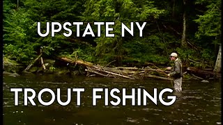 River Trout Fishing  Upstate New York [upl. by Julee]