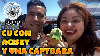 Un día en Ciudad Universitaria BUAP  ¿Cómo conocí a Acisey  Comprando una Capybara  TORETO1309 [upl. by Richers753]