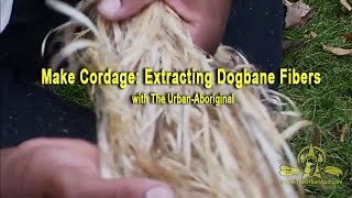 Making Cordage Extracting Dogbane Fibers [upl. by Narib]