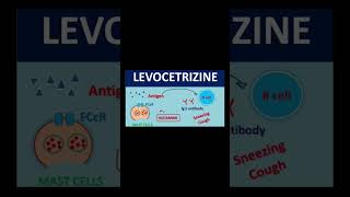 Mechanism of action of cetirizine LCZ 💊  Anti Histamine  Anti allergic tablet [upl. by Gildus]