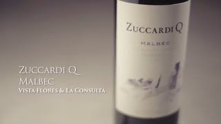 Laura Principiano  Zuccardi Q [upl. by Vitkun858]