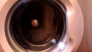 Beko WMB 71241 S spin only programm [upl. by Seedman]