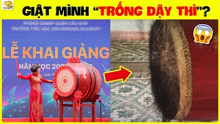 💧Hậu khai giảng năm học mới 2024 và những phát hiện bất ổn  Nhanh Trí [upl. by Vally]