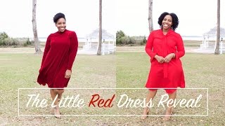 The Little Red Dress Reveal [upl. by Aihsaei721]