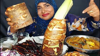 EATING SPICY GAINT TARO BHARTA KOCHU BHARTA FISH CURRY WITH RICE EATING ASMR MUKBANG [upl. by Ialda697]