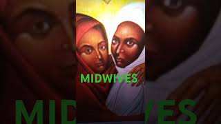 MIDWIVES Exodus 11517 [upl. by Llerod519]