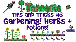 Terraria Gardening Guide Mushroom Herb Potion Farm etc Tips amp Tricks 13 AND consolemobile [upl. by Assinna]