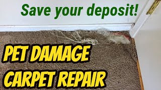 Fix Cat Dog Puppy Damaged Carpet Repair [upl. by Annairol113]