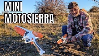 PROBAMOS Mini MOTOSIERRA de batería 😲 STIHL GTA 26 ¡PODANDO y con MADERA seca [upl. by Swithbart]