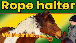 Make a ROPE HALTER for a horse with FIADOR knot Step by step tutorial 2024 [upl. by Eimoan]