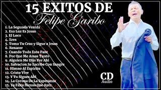 FELIPE GARIBO  15 Grandes Exitos Que Impactaran Tu Vida [upl. by Syd8]