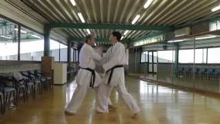 Bunkai BASSAI karaté wadoryu par Philippe Lognoul [upl. by Mandy]