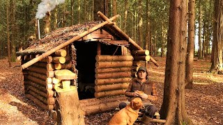 Building A Log Cabin in 5 Days  Off Grid Bushcraft Project In A Woodland  Wood Stove  Bed  Chair [upl. by Gareri353]