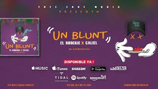 El Roockie x Caliel  Un Blunt Audio Cover [upl. by Nathanoj]