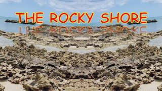 The Rocky Shore [upl. by Htesil295]